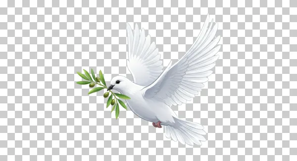 White Peace Dove Flying with Olive Branch PNG – Symbol of Peace & Hope