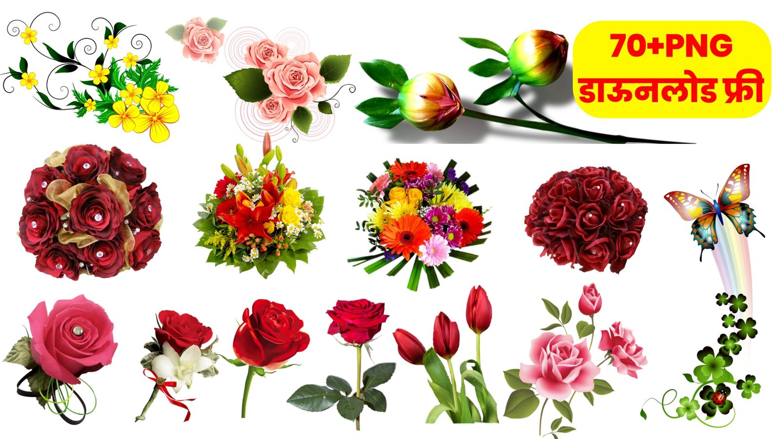Flowers png download kare|flowers clipart png download|phool png download kare free|