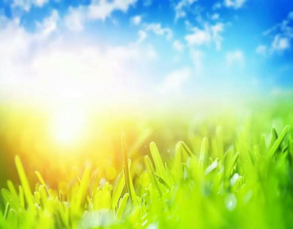 Saraswati Puja group banner editing background image download  